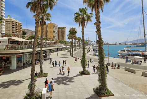 cruising malaga|Malaga Cruise Port: A complete first